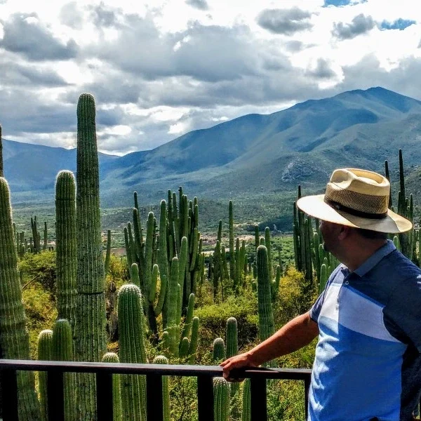 Tehuacan biosphere tour giant cactus forest